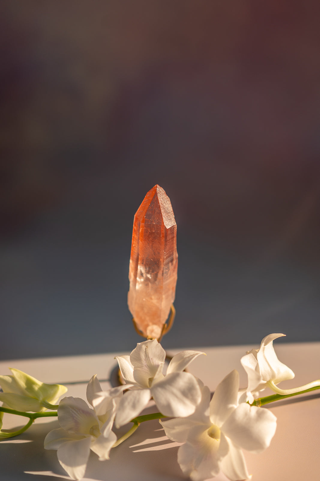 Scarlet Temple Lemurian