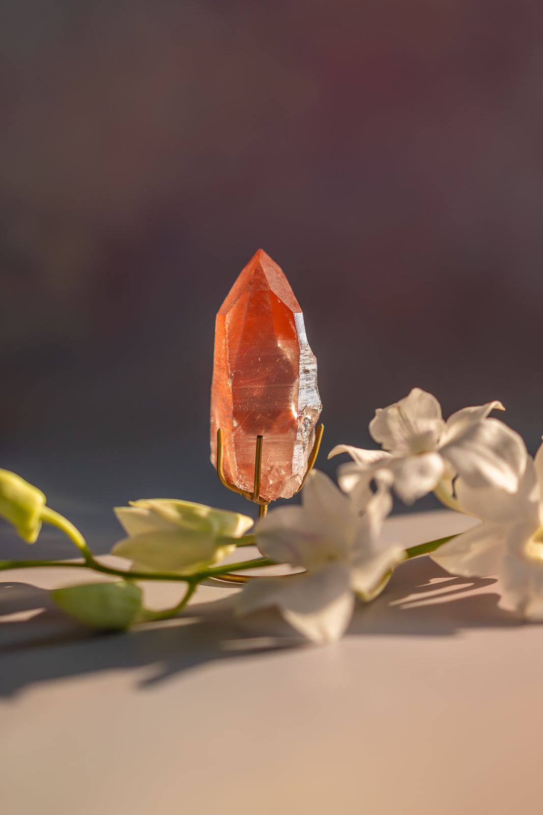 Scarlet Temple Lemurian