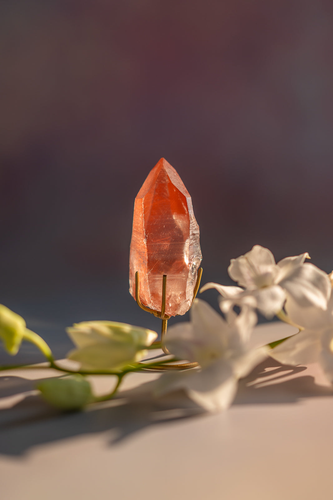 Scarlet Temple Lemurian