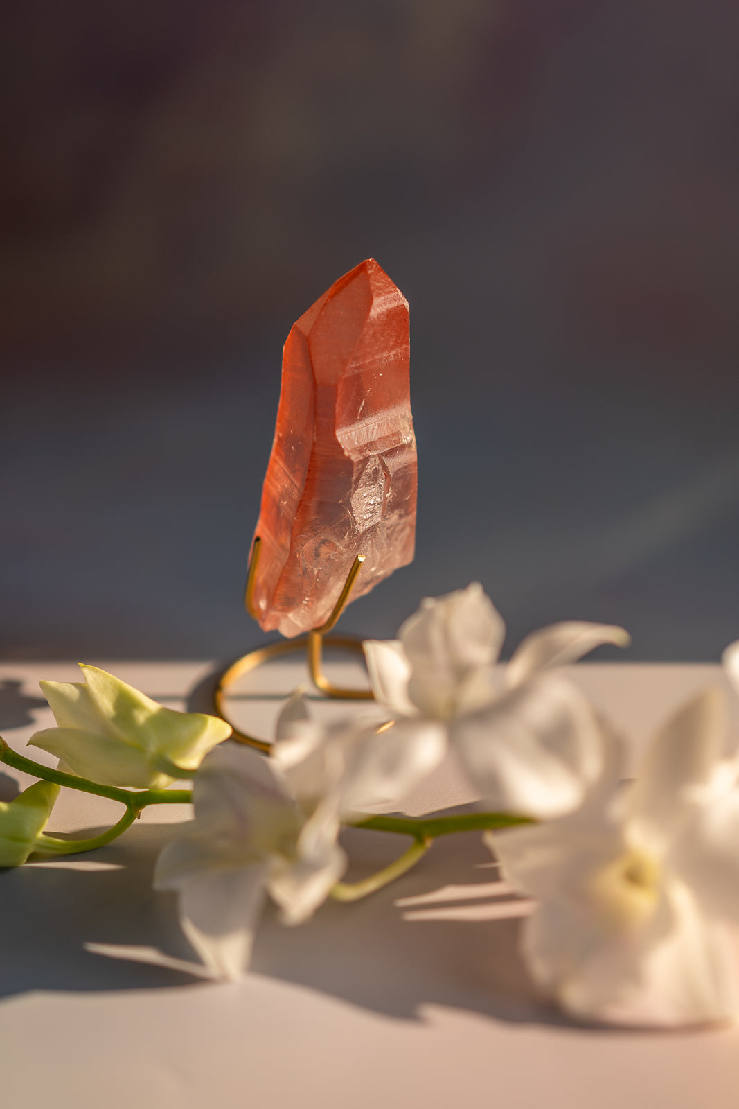 Scarlet Temple Lemurian