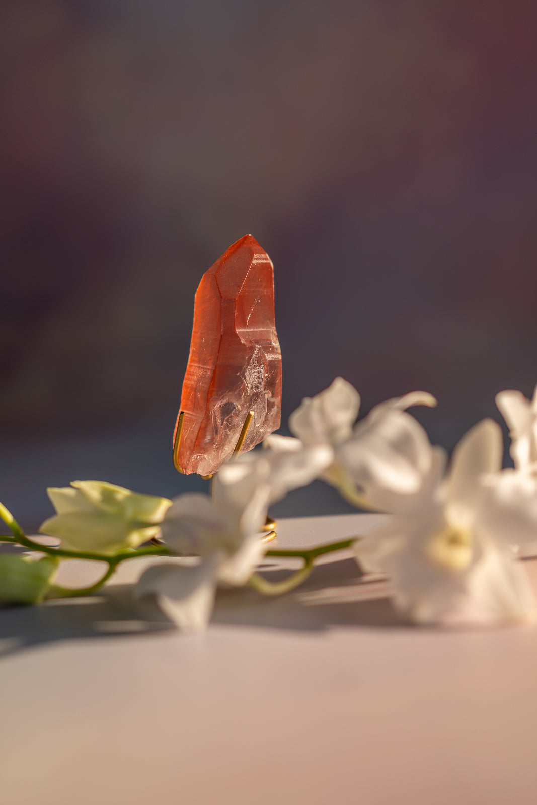 Scarlet Temple Lemurian