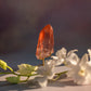 Scarlet Temple Lemurian