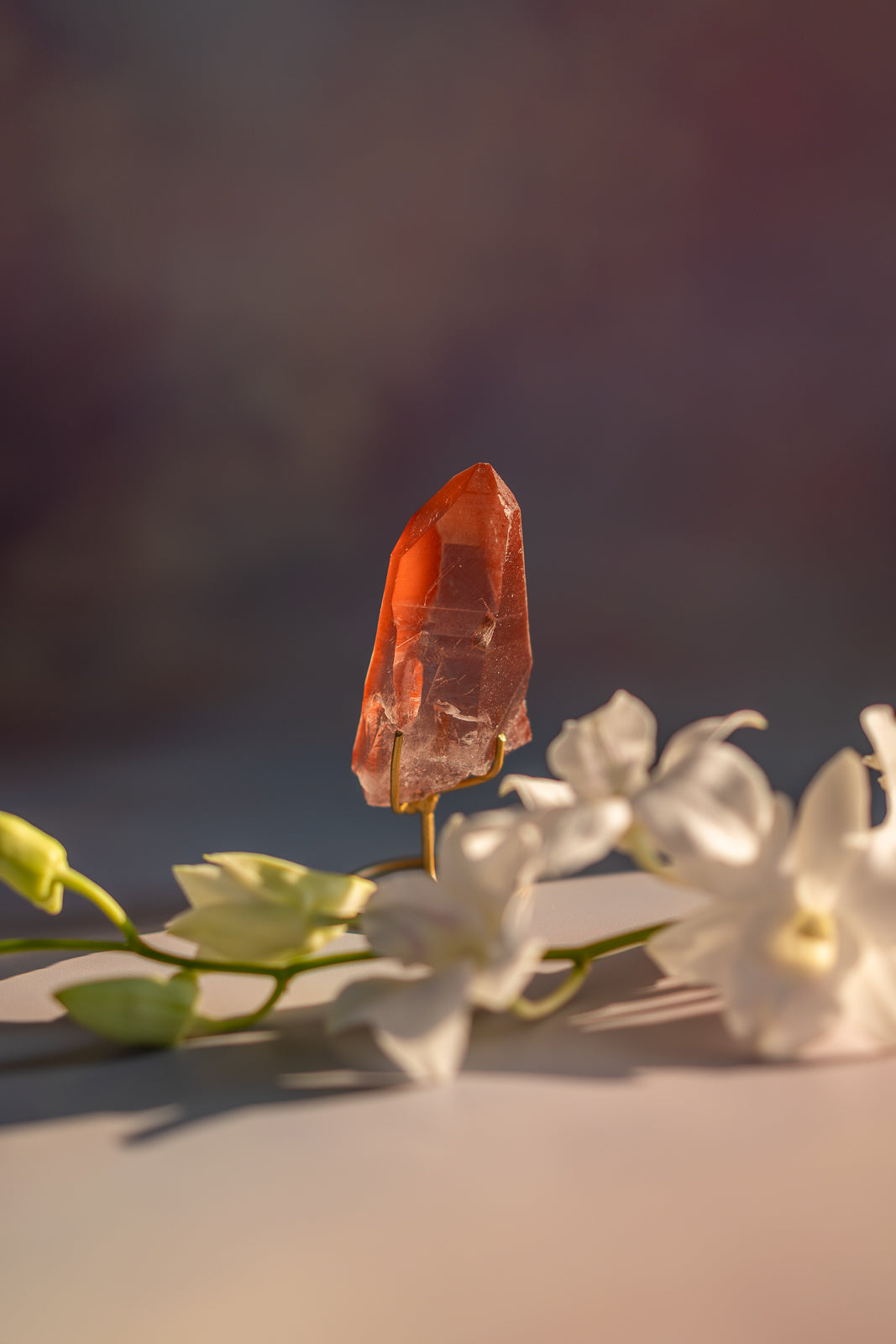 Scarlet Temple Lemurian