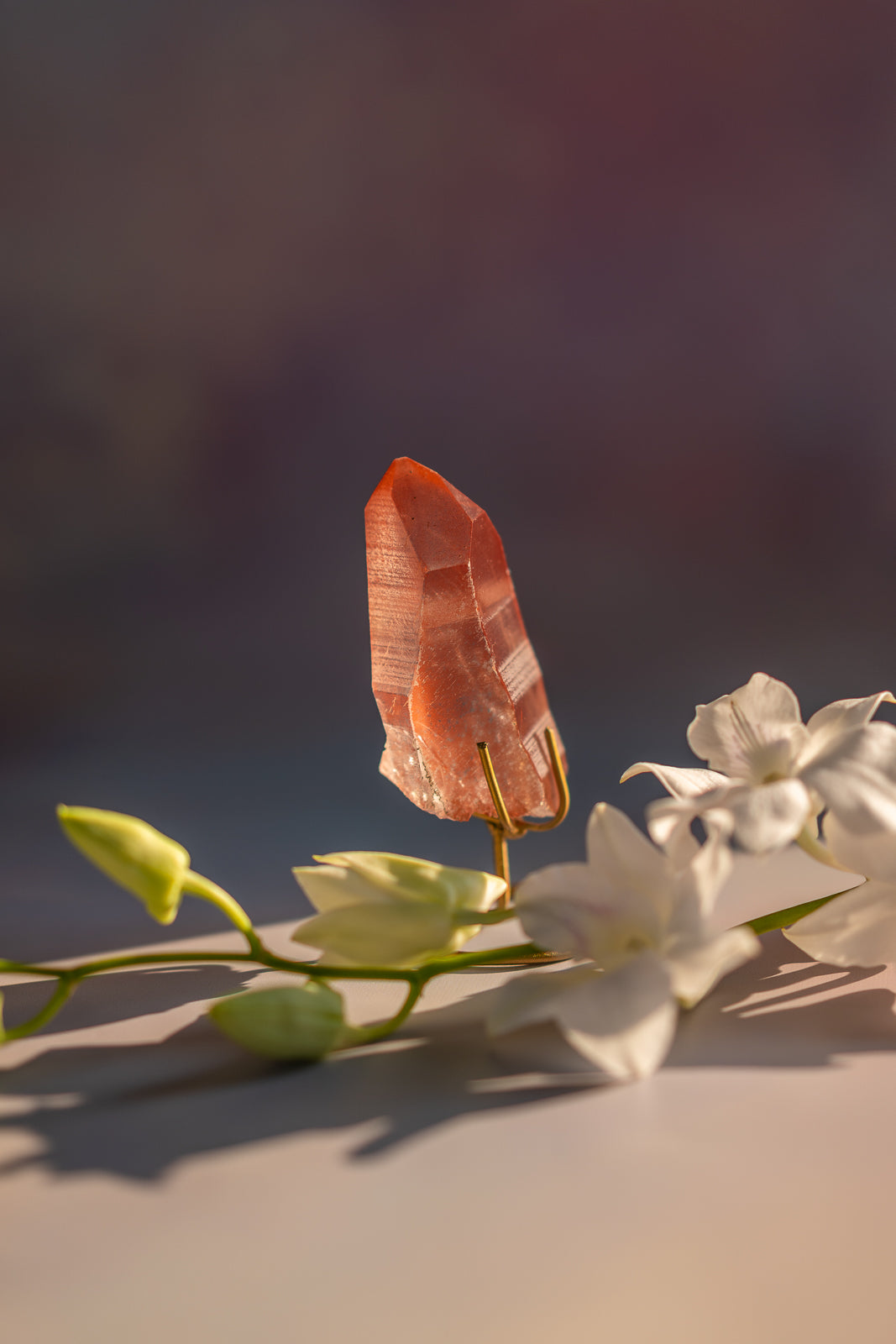 Scarlet Temple Lemurian