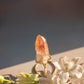 Scarlet Temple Lemurian