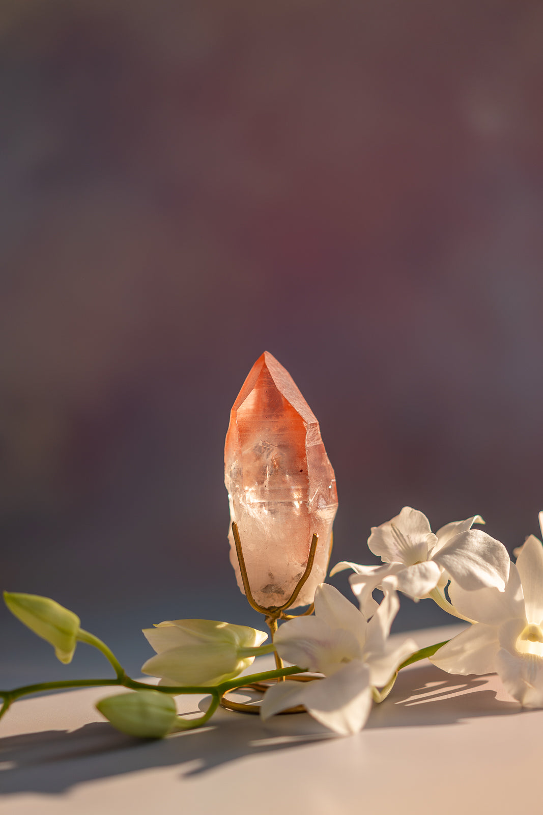 Scarlet Temple Lemurian