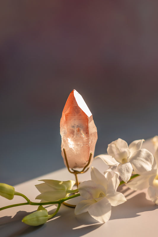 Scarlet Temple Lemurian