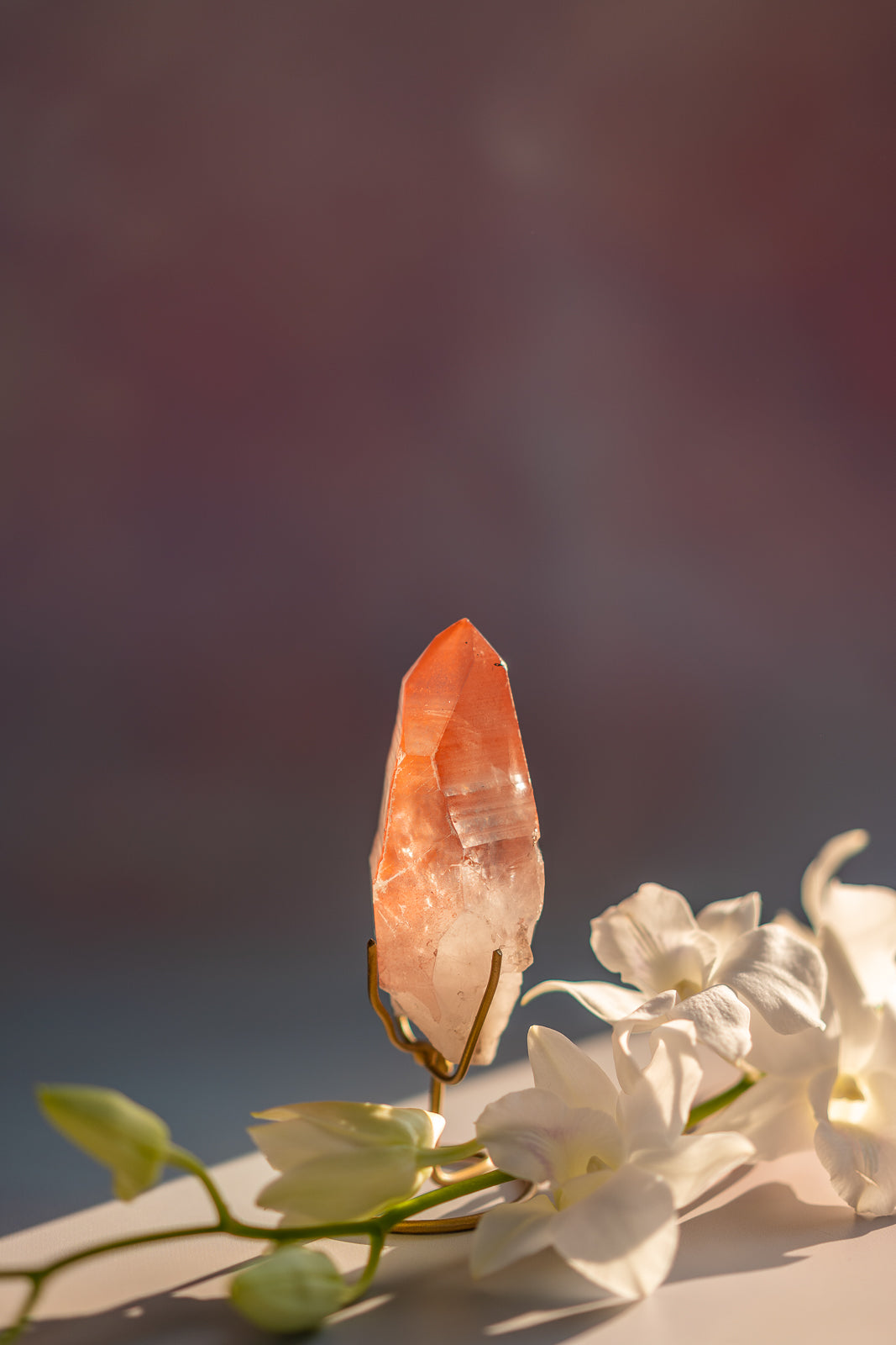 Scarlet Temple Lemurian