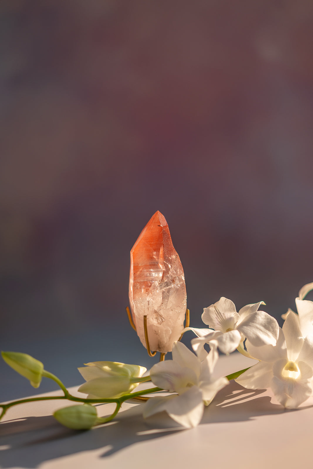 Scarlet Temple Lemurian