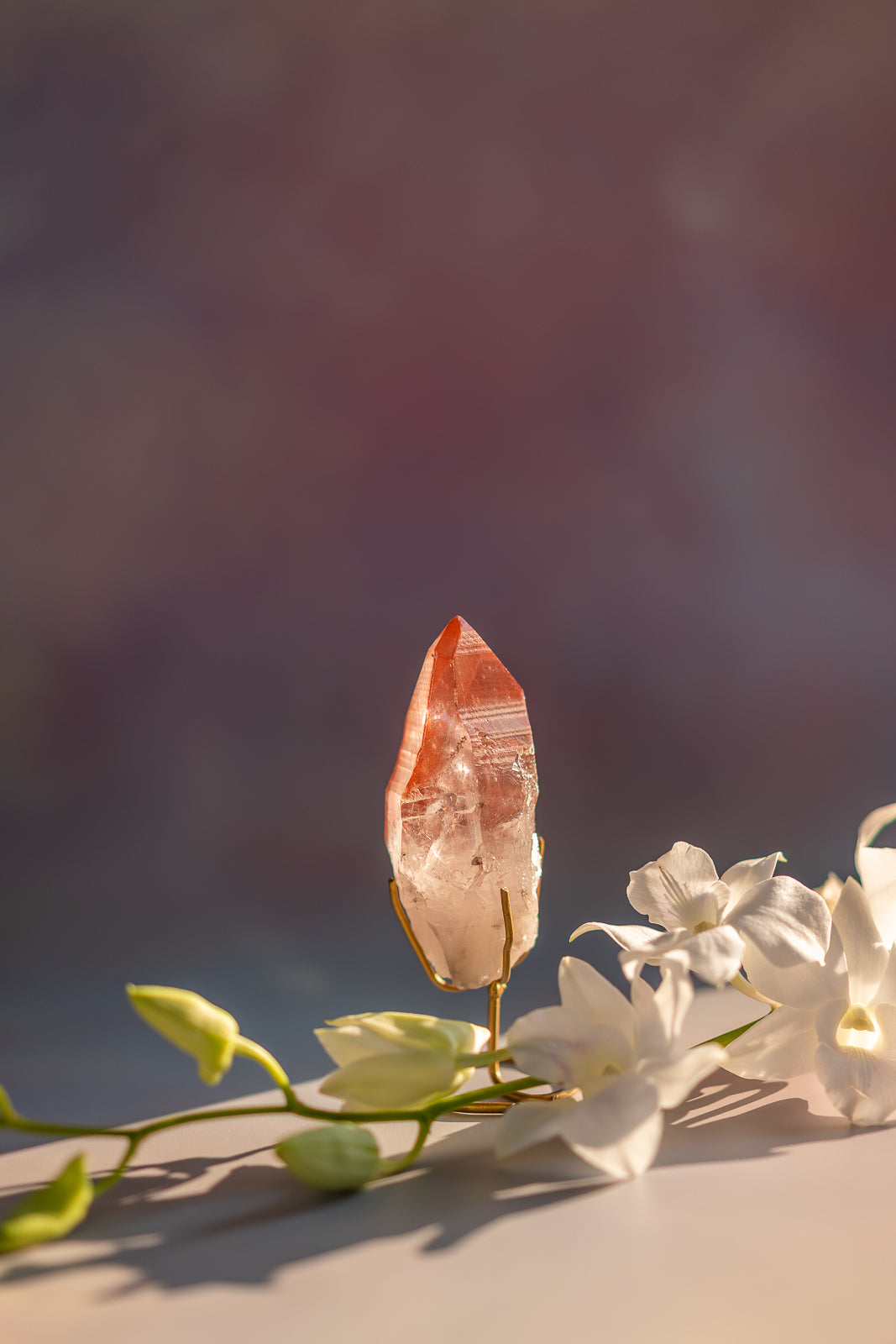 Scarlet Temple Lemurian