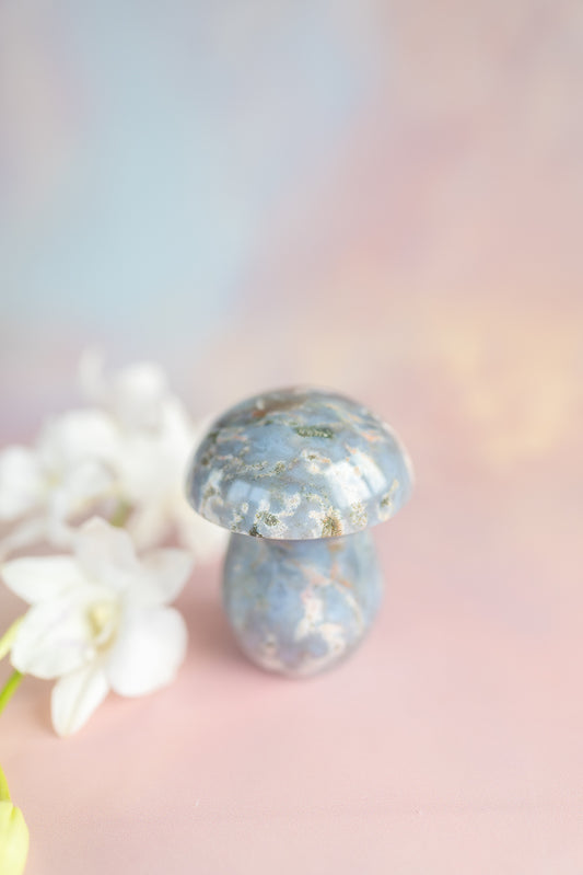 Sea Jasper Mushroom