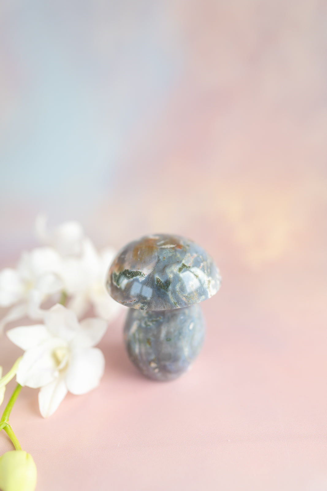 Sea Jasper Mushroom