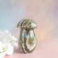 Sea Jasper Mushroom