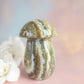 Sea Jasper Mushroom