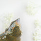 Green Sea Jasper Flame