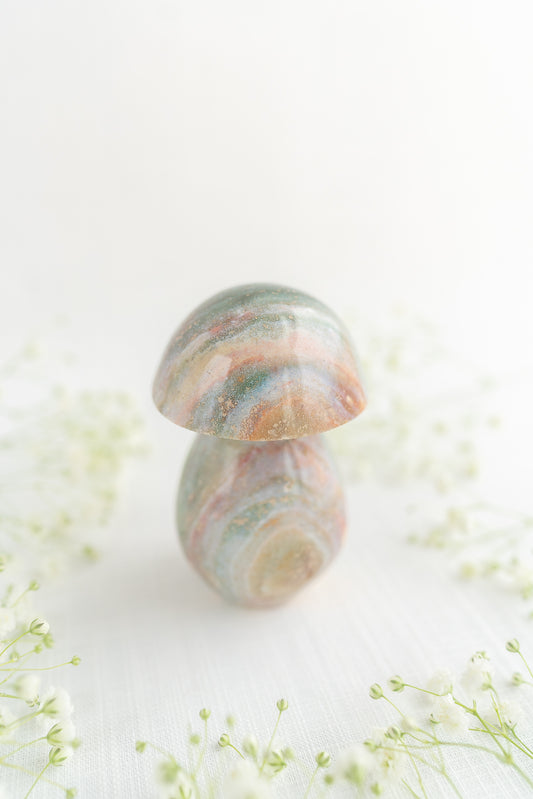 Sea Jasper Mushroom