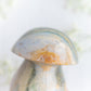 Sea Jasper Mushroom