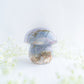 Sea Jasper Mushroom