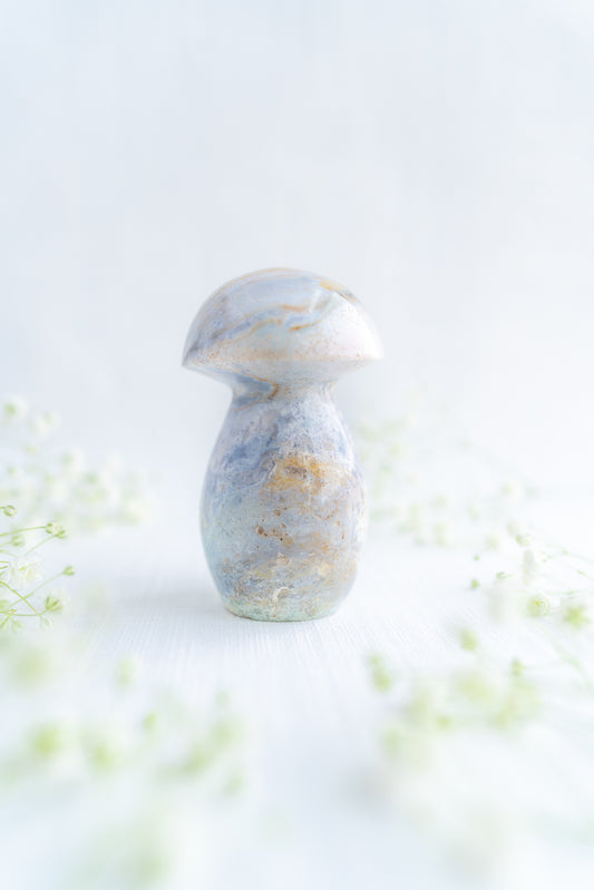 Sea Jasper Mushroom