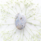 Sea Jasper Palm