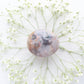 Sea Jasper Palm with Quartz