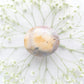 Sea Jasper Palm with Quartz