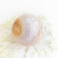 Flower Agate Sphere with Quartz